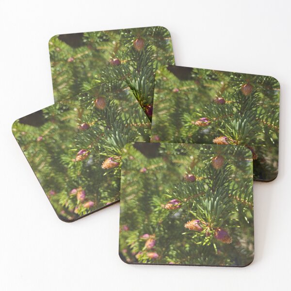 Item preview, The Beginning of Pine Codes designed and sold by Betsy Phillips.