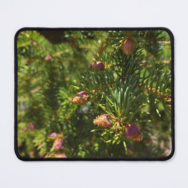 Item preview, The Beginning of Pine Codes designed and sold by Betsy Phillips.