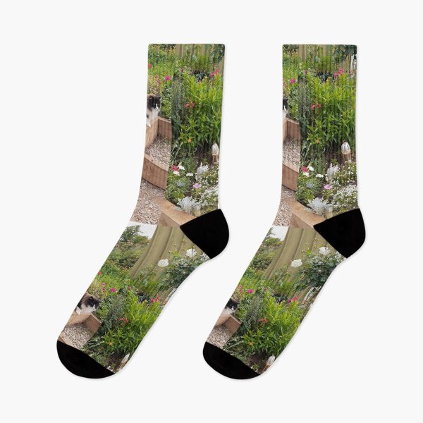 Item preview, Tuxedo Cat And Flowers Cute Flower Beautiful Garden designed and sold by Sarah  Rajkotwala.