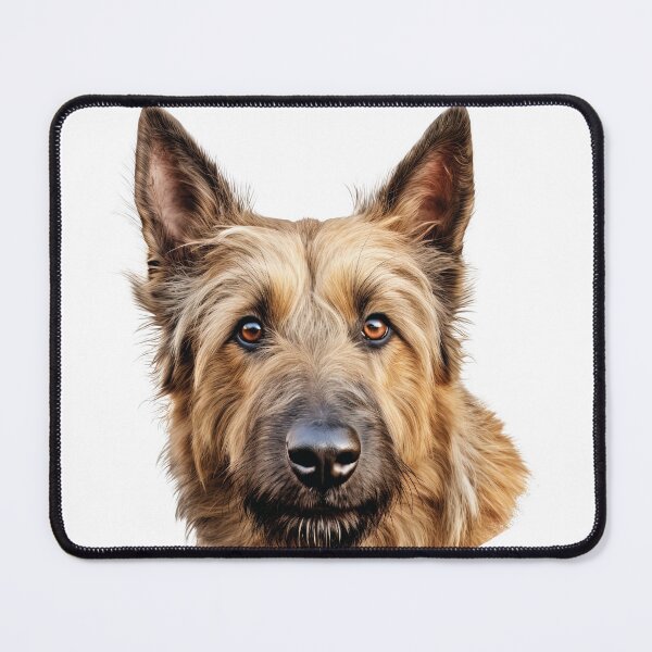 Item preview, Distinctive Berger Picard Portrait - Alert and Loyal Sheepdog designed and sold by MYK-Printing.