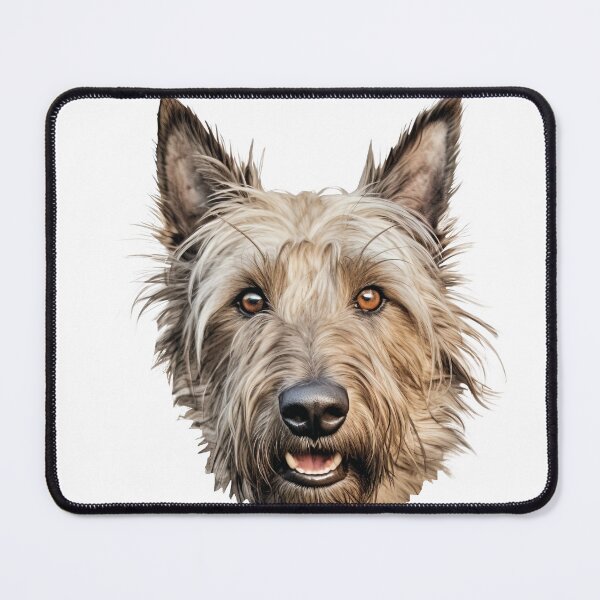 Item preview, Distinctive Berger Picard Portrait - Alert and Loyal Sheepdog designed and sold by MYK-Printing.