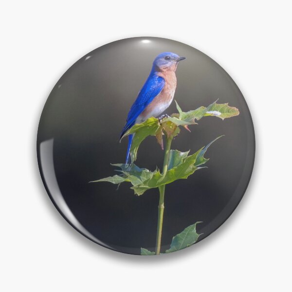 Item preview, Bluebird Serenity on Summer Leaves designed and sold by BirdsBugsBeyond.