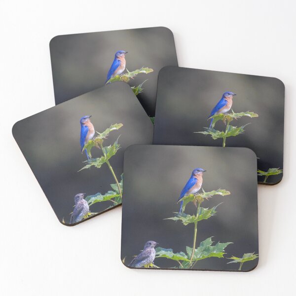 Item preview, Bluebird Serenity on Summer Leaves designed and sold by BirdsBugsBeyond.