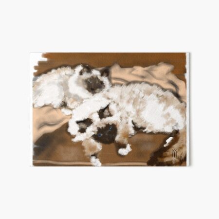 Furry Birman Cat Kittie  Art Board Print