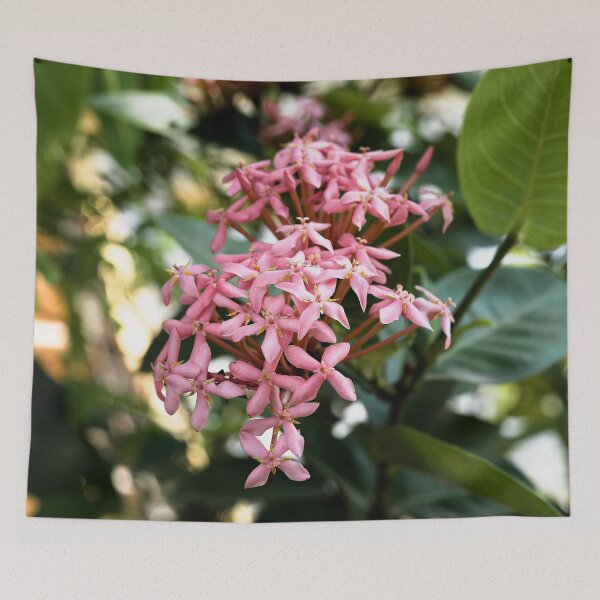 Item preview, Explosion of tropical pink flowers in Thakhek designed and sold by franck380.