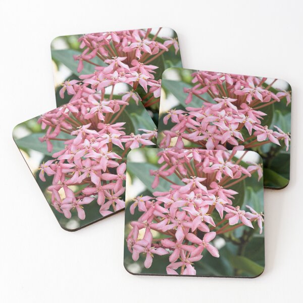Item preview, Explosion of tropical pink flowers in Thakhek designed and sold by franck380.