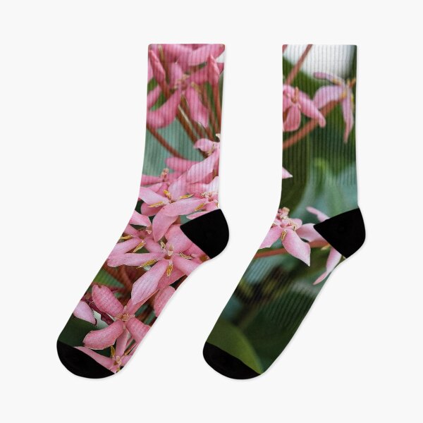 Item preview, Explosion of tropical pink flowers in Thakhek designed and sold by franck380.