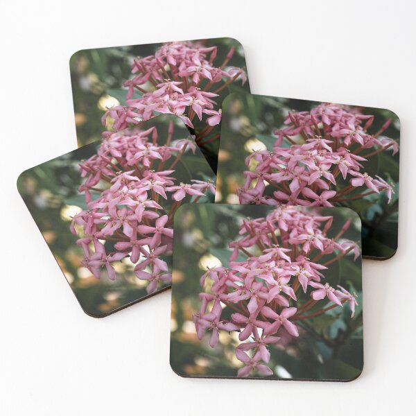 Item preview, Tropical flower in full bloom in Laos designed and sold by franck380.