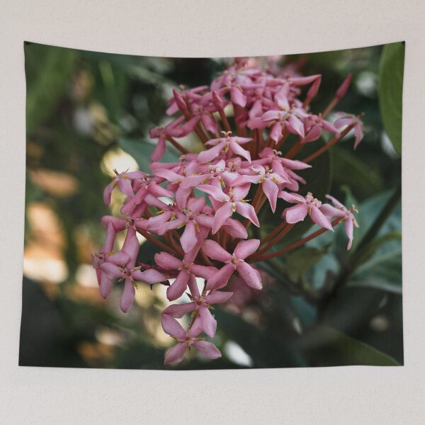 Item preview, Tropical flower in full bloom in Laos designed and sold by franck380.