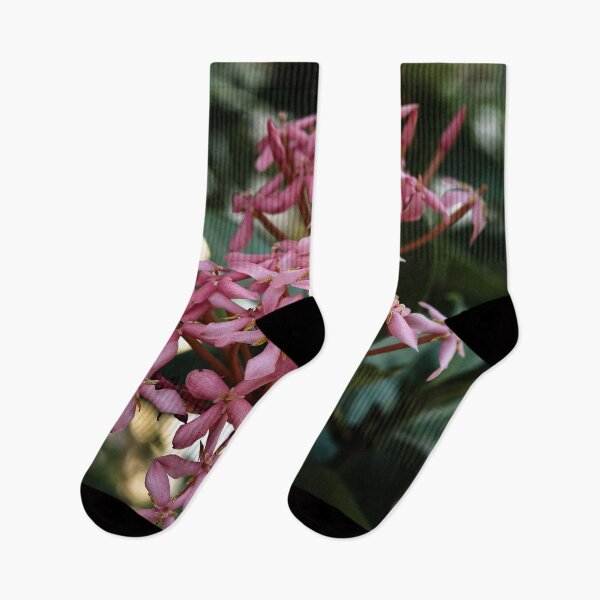 Item preview, Tropical flower in full bloom in Laos designed and sold by franck380.