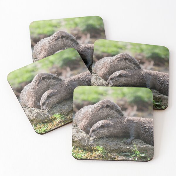 Item preview, Otter Duo Basking Together on a Sunny Rock designed and sold by rawshutterbug.