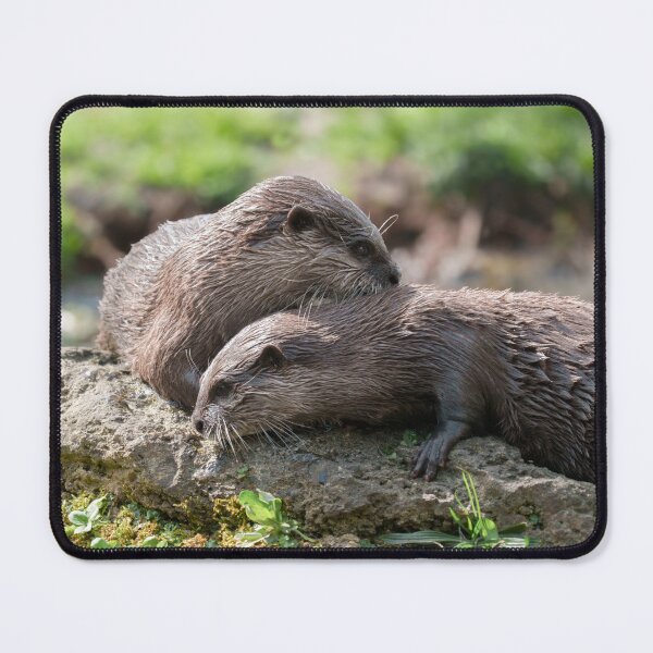Item preview, Otter Duo Basking Together on a Sunny Rock designed and sold by rawshutterbug.
