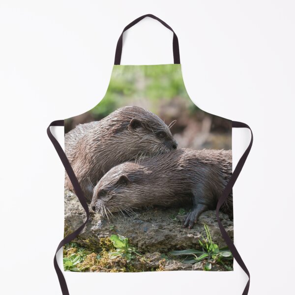 Item preview, Otter Duo Basking Together on a Sunny Rock designed and sold by rawshutterbug.