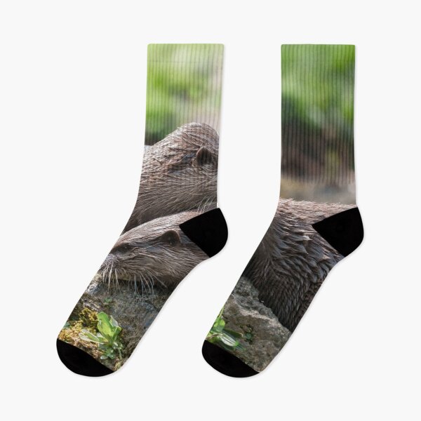 Item preview, Otter Duo Basking Together on a Sunny Rock designed and sold by rawshutterbug.