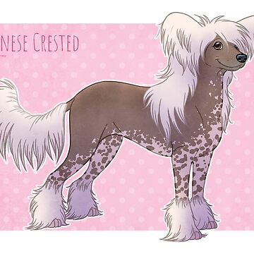 Artwork thumbnail, Chinese Crested - Hairy Hairless by Chiwowy