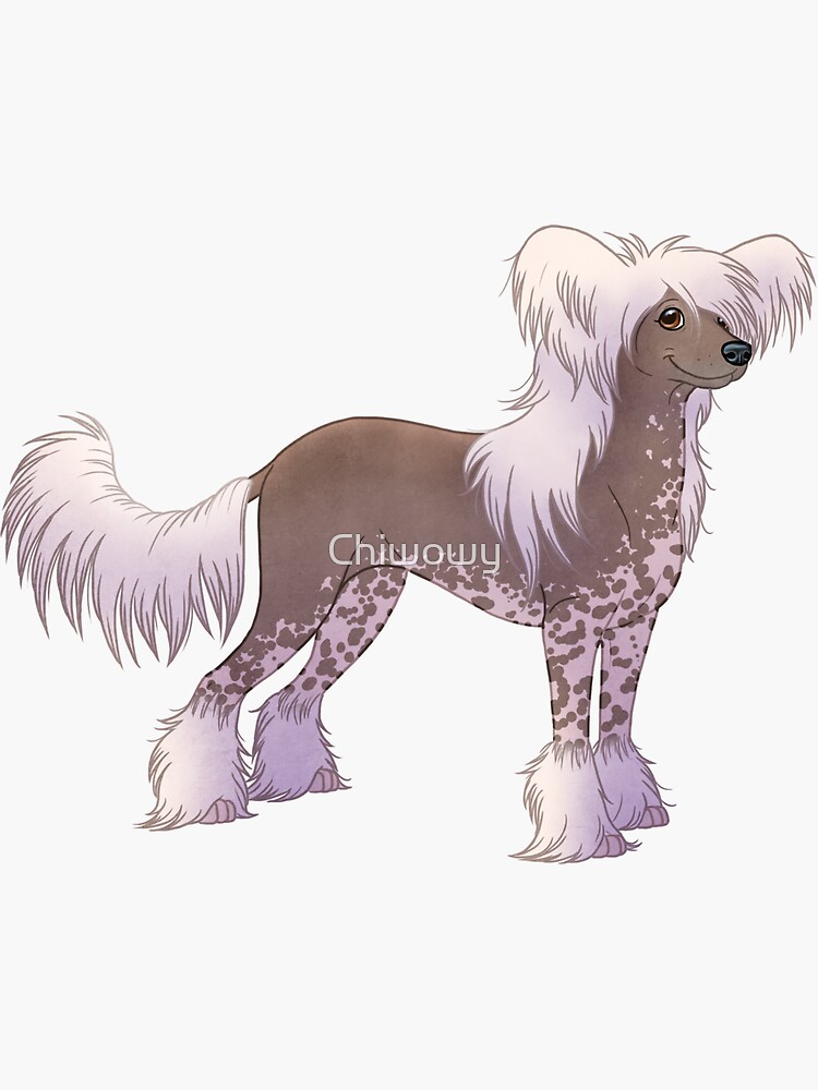 Thumbnail 3 of 3, Sticker, Chinese Crested - Hairy Hairless designed and sold by Chiwowy.