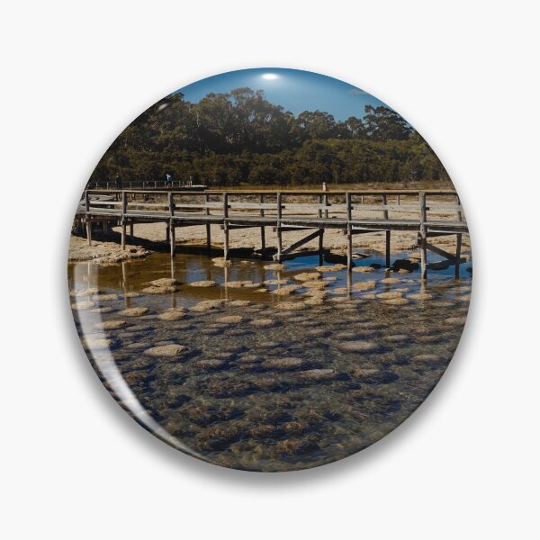Item preview, Thrombolites by the lake designed and sold by Mrtweety.