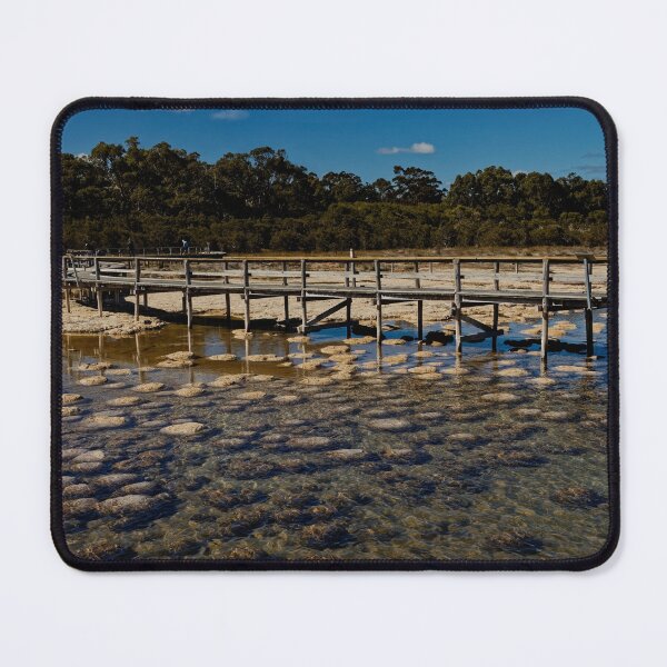 Item preview, Thrombolites by the lake designed and sold by Mrtweety.