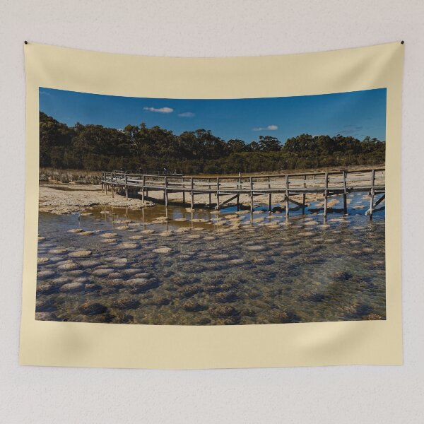 Item preview, Thrombolites by the lake designed and sold by Mrtweety.
