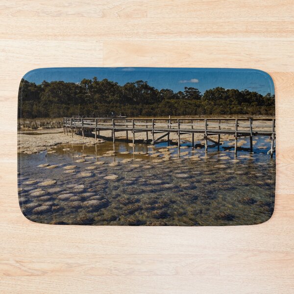Item preview, Thrombolites by the lake designed and sold by Mrtweety.