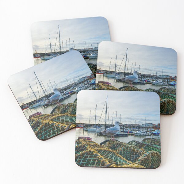 Item preview, Bridlington Harbour Seagull designed and sold by Alisonchambers2.