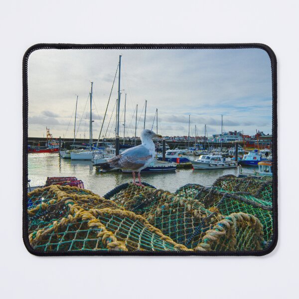 Item preview, Bridlington Harbour Seagull designed and sold by Alisonchambers2.