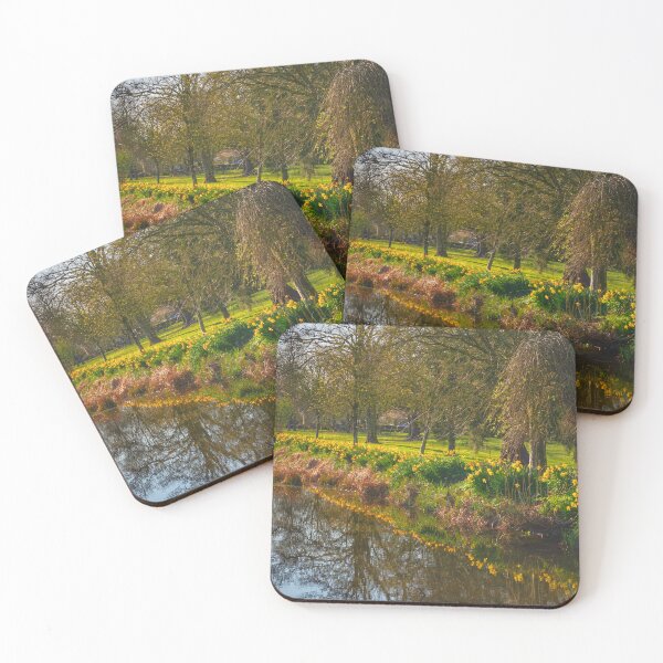 Item preview, Reflected Daffodils Gargrave designed and sold by Alisonchambers2.