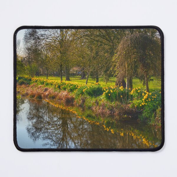 Item preview, Reflected Daffodils Gargrave designed and sold by Alisonchambers2.