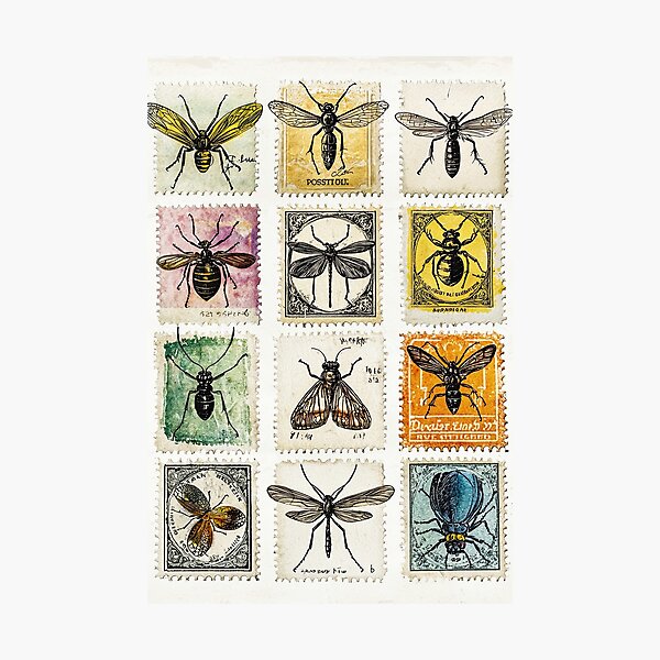 Item preview, Color-rich insect art on vintage stamp backdrops designed and sold by Peter's Big Shop.
