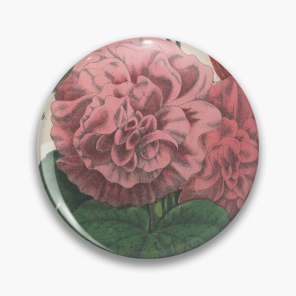 Item preview, Vintage botanicals illustration 1858 designed and sold by naturevintage.
