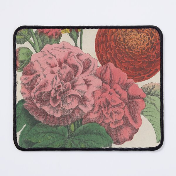 Item preview, Vintage botanicals illustration 1858 designed and sold by naturevintage.