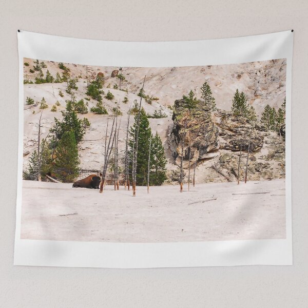 Item preview, Bison Resting in Yellowstone’s Ash – 2016 Wildfires, Climate Change & Park Preservation designed and sold by aadventures.