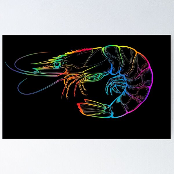 Item preview, Shrimp designed and sold by Nature4711.