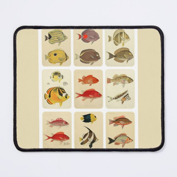 Item preview, Antique Bright and Colourful Tropical Fish Collage designed and sold by IrisAndIvy.