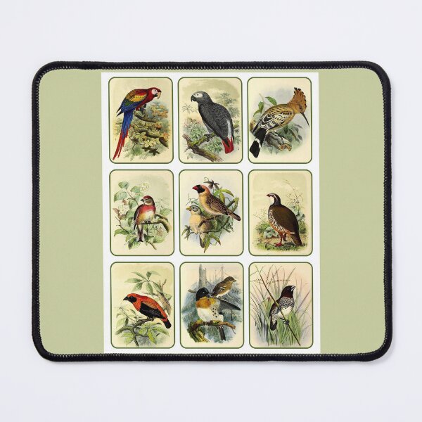 Item preview, Antique Colourful Bird Collage 3 designed and sold by IrisAndIvy.