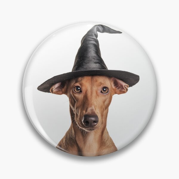 Item preview, Pharaoh Hound dog Wearing Halloween Witch Hat designed and sold by LazyOwlStore.