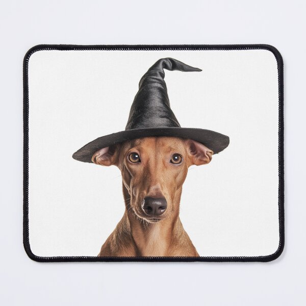 Item preview, Pharaoh Hound dog Wearing Halloween Witch Hat designed and sold by LazyOwlStore.