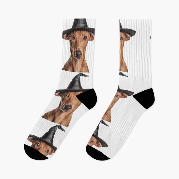 Item preview, Pharaoh Hound dog Wearing Halloween Witch Hat designed and sold by LazyOwlStore.