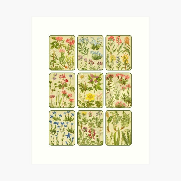 Item preview, Antique Alpine Wild Flower and Plant Collage 1 designed and sold by IrisAndIvy.