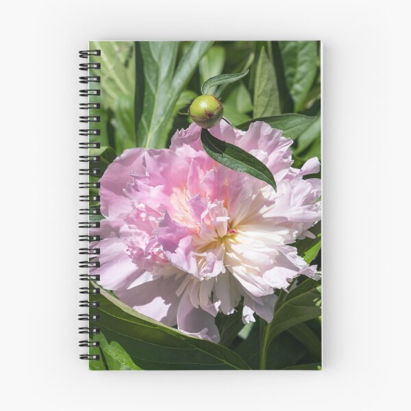 Item preview, Light Pink Peony Bloom with a Child designed and sold by Georgia Mizuleva.
