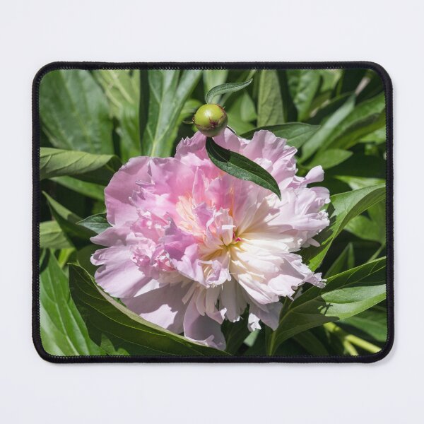 Item preview, Light Pink Peony Bloom with a Child designed and sold by Georgia Mizuleva.