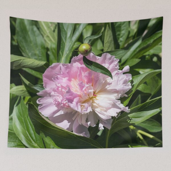 Item preview, Light Pink Peony Bloom with a Child designed and sold by Georgia Mizuleva.