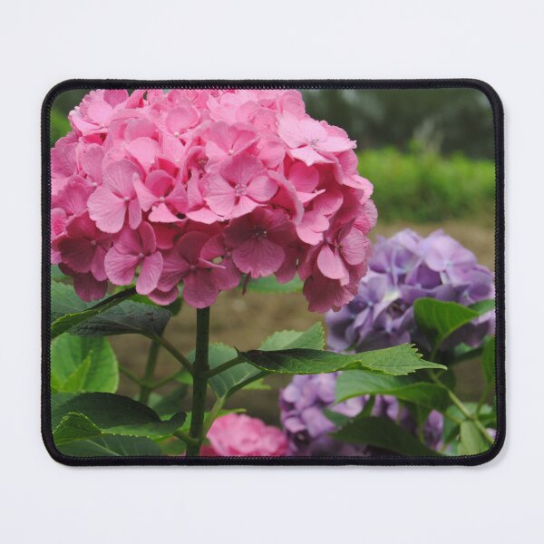 Item preview, Pink Flower Hydrangea designed and sold by Sartoris Art.
