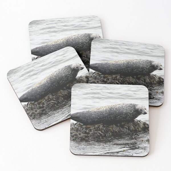 Item preview, Seal at Seafield beach, Kirkcaldy designed and sold by KaisPrints.