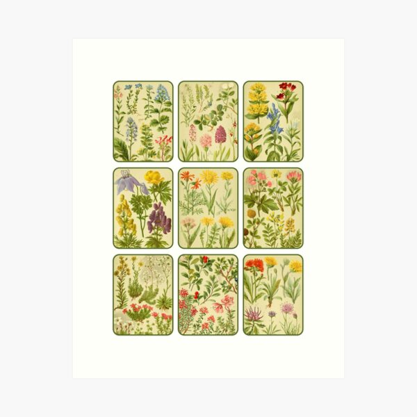 Item preview,  Antique Alpine Wild Flower and Plant Collage 2 designed and sold by IrisAndIvy.