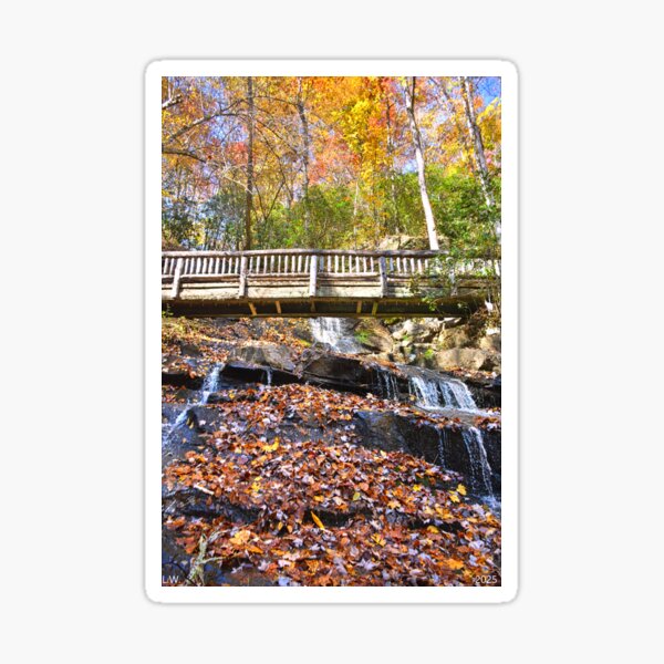Item preview, Hiking Through The Falls At Juney Whank Falls North Carolina Vertical designed and sold by LisaWootenPhoto.