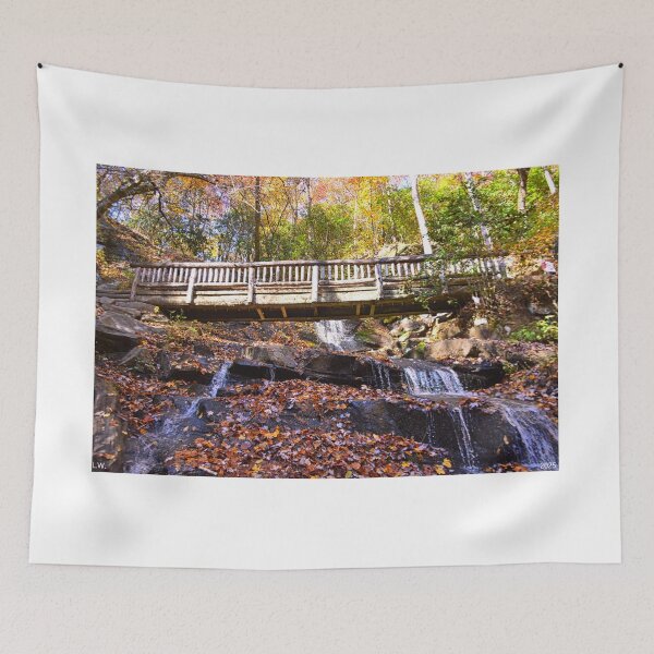 Item preview, Hiking Through The Falls At Juney Whank Falls North Carolina  designed and sold by LisaWootenPhoto.