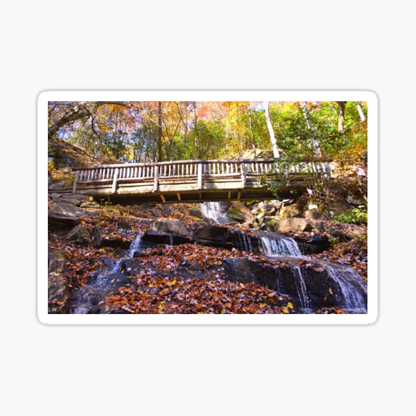 Item preview, Hiking Through The Falls At Juney Whank Falls North Carolina  designed and sold by LisaWootenPhoto.