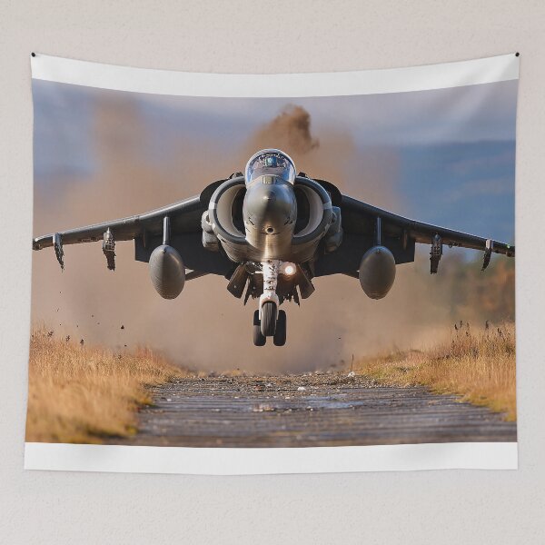 Item preview, Hawker Siddeley Harrier designed and sold by Skyframe Aviation.