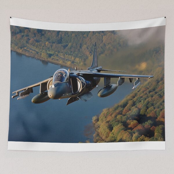 Item preview, Hawker Siddeley Harrier designed and sold by Skyframe Aviation.